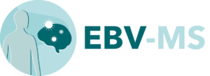 logo ebv ms