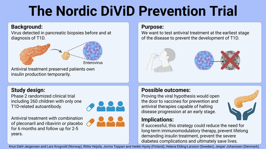 Graphical abstract DiViD Prevention Trial 5 final